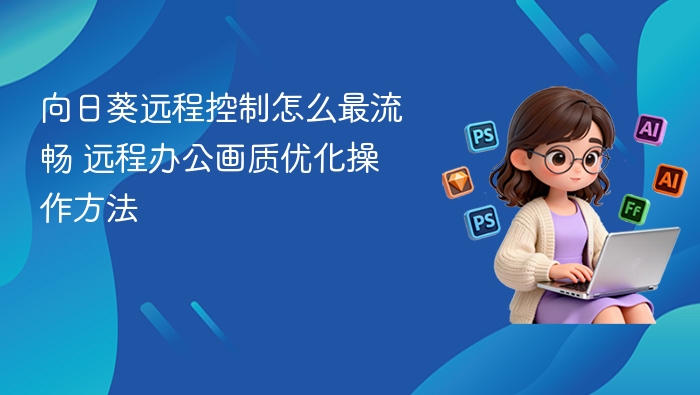 向日葵远程控制怎么最流畅 远程办公画质优化操作方法