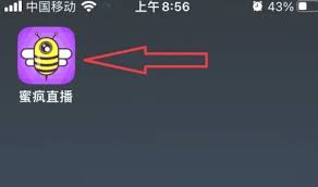 蜜疯直播如何联系客服？