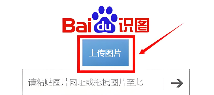 百度识图官方入口 百度识图在线使用入口