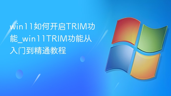 Win11开启TRIM功能方法详解