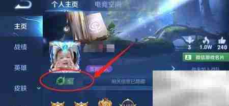 王者荣耀星会员入口指南