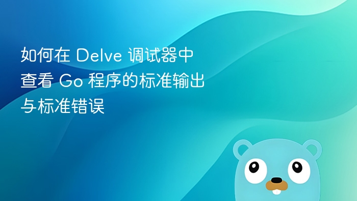 Delve调试器查看Go程序输出与错误信息