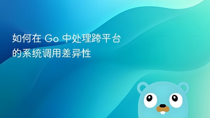 如何在 Go 中处理跨平台的系统调用差异性