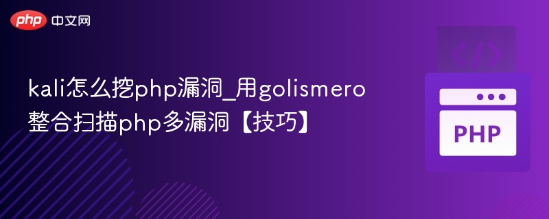 kali怎么挖php漏洞_用golismero整合扫描php多漏洞【技巧】
