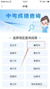 i襄阳如何查询中考成绩