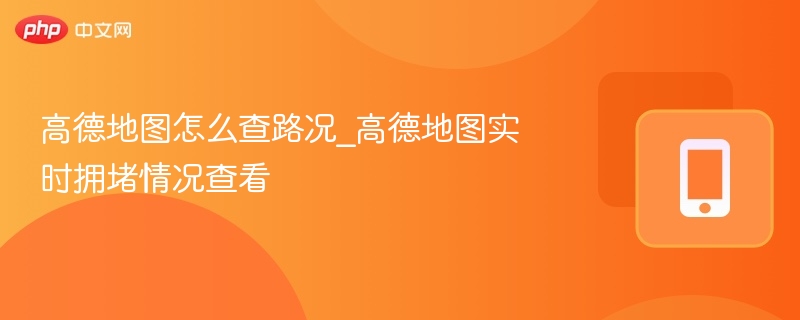 高德地图怎么查路况_高德地图实时拥堵情况查看