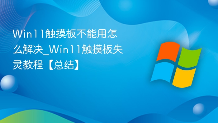 Win11触摸板不能用怎么解决_Win11触摸板失灵教程【总结】