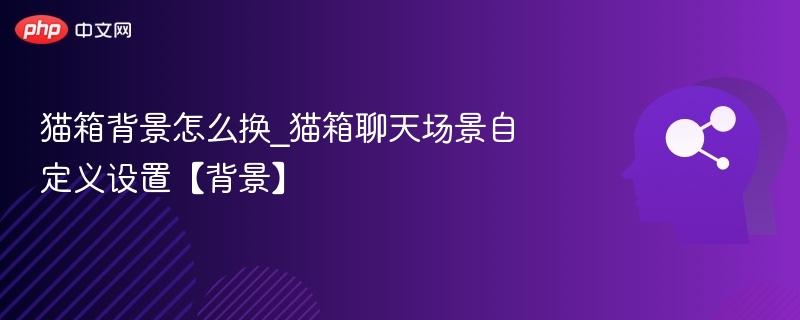 猫箱背景怎么换？聊天场景自定义教程