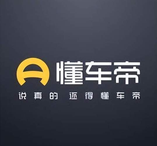 懂车帝官网登录入口及电脑版访问方法