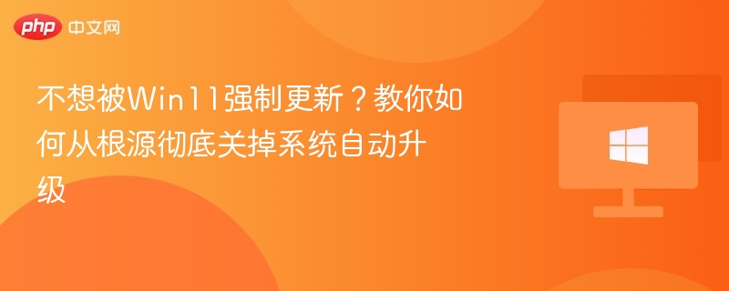 不想被Win11强制更新？教你关闭自动升级