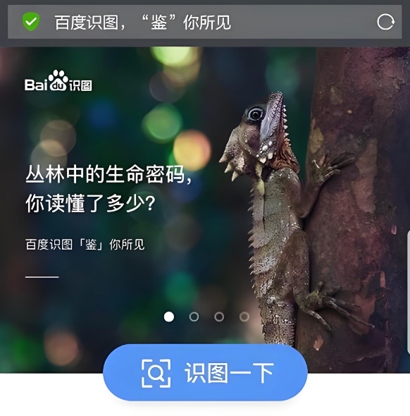 百度识图入口地址百度识图官网链接