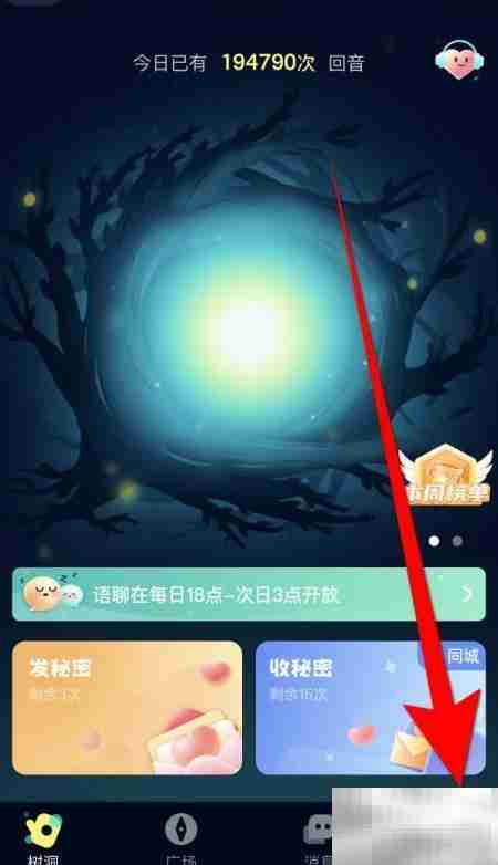 回音如何开启公开消息