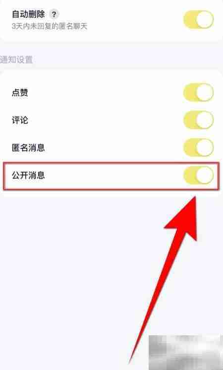 回音如何开启公开消息