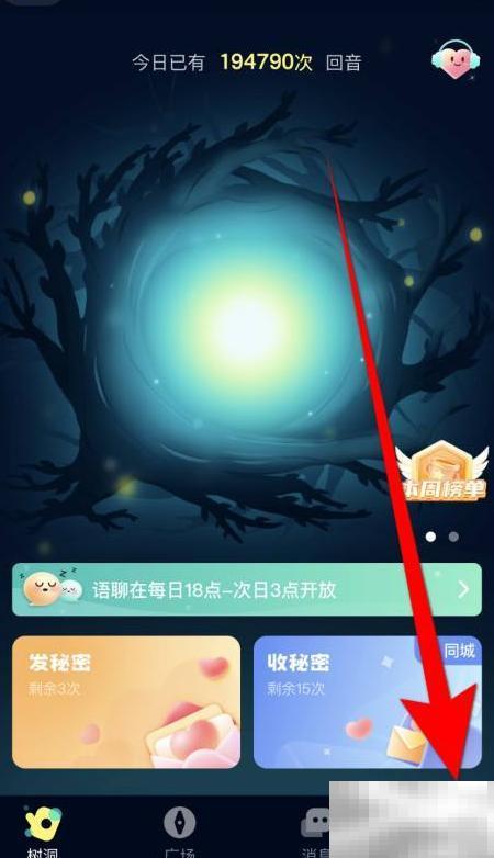 回音公开消息怎么开启