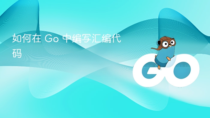 Go 中如何编写汇编代码详解