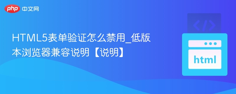 HTML5表单验证禁用与兼容说明