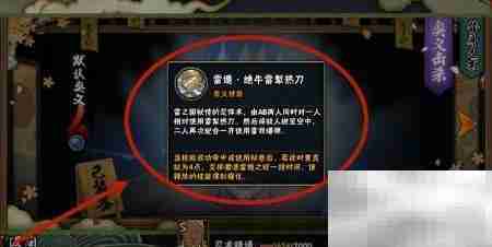 雷影艾玩法攻略