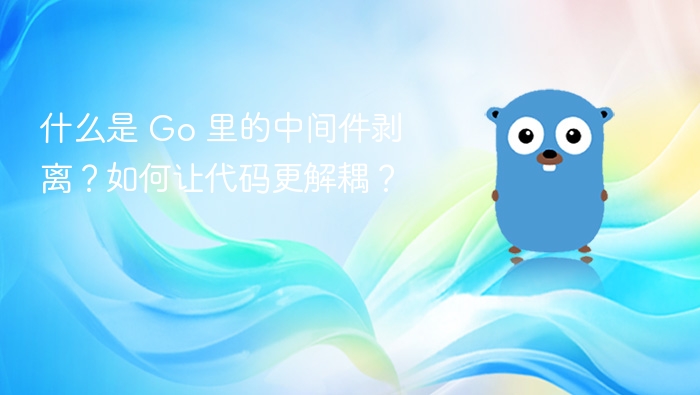 Go中间件剥离技巧与实践方法