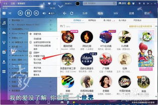 苏澜导入歌单教程详解指南