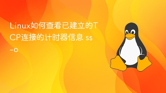Linux下ss-o命令详解与TCP计时器查看方法
