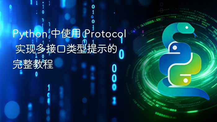 Python多接口类型提示实现教程