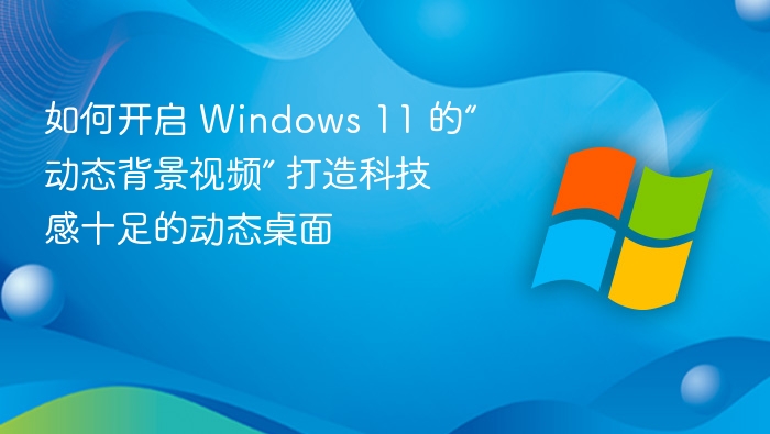 如何开启 Windows 11 的“动态背景视频” 打造科技感十足的动态桌面