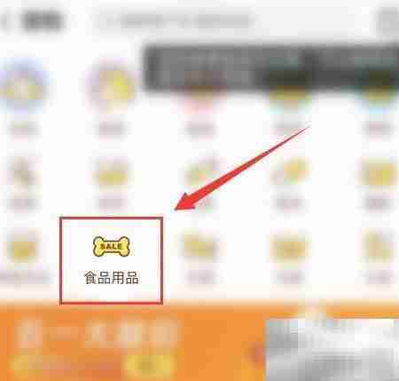 疫情期间狗粮短缺应对指南