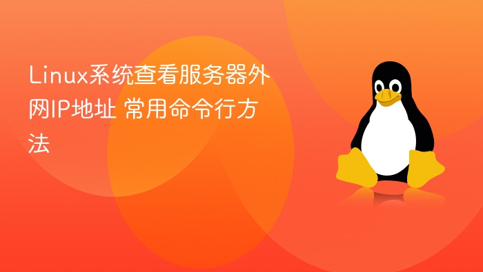 Linux系统查看服务器外网IP地址 常用命令行方法