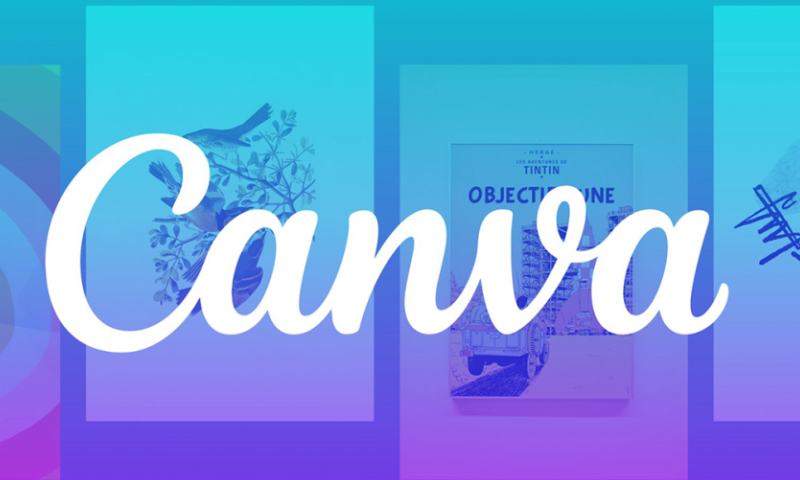 Canva可画AI抠图功能演示_精准识别主体去除背景