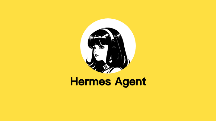 让AI学会你的工作流：HermesAgent技能（Skill）编写与调试指南【定制】