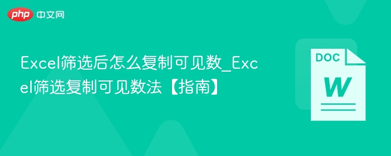 Excel筛选后复制可见数据方法