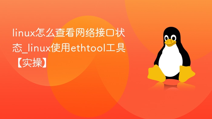 Linux查看网络接口状态方法