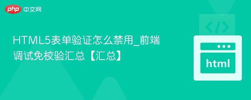 HTML5表单验证禁用方法汇总