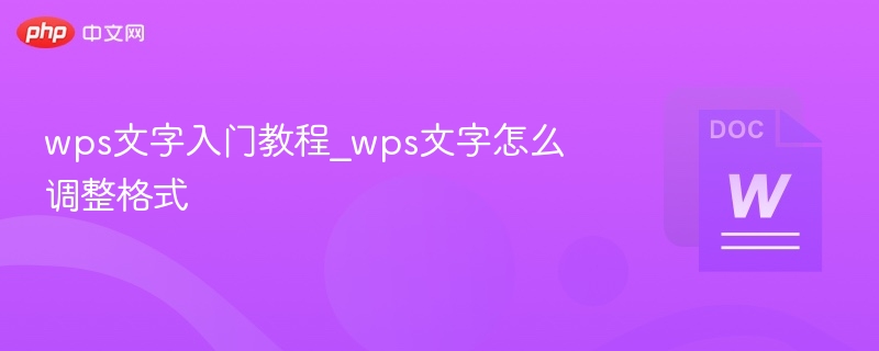WPS文字基础教程：如何调整格式