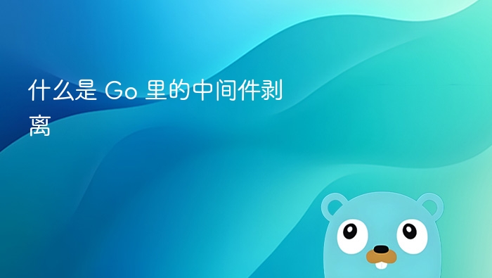 Go 中间件剥离是什么意思