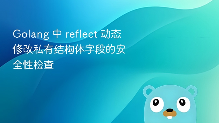 Golang 中 reflect 动态修改私有结构体字段的安全性检查