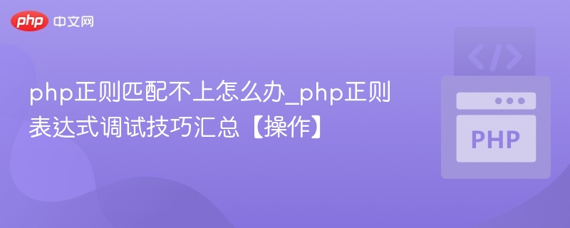 PHP正则匹配失败怎么调试