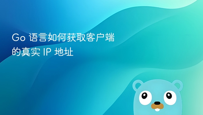Go 语言如何获取客户端的真实 IP 地址
