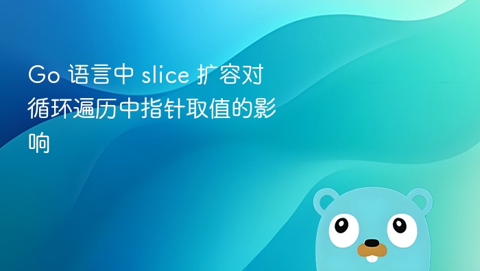 Go slice 扩容影响遍历指针取值分析