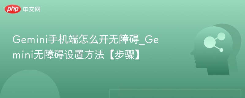 Gemini手机端怎么开无障碍_Gemini无障碍设置方法【步骤】