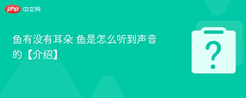 鱼有没有耳朵 鱼是怎么听到声音的【介绍】