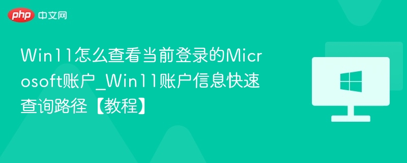 Win11查看Microsoft账户方法【教程】
