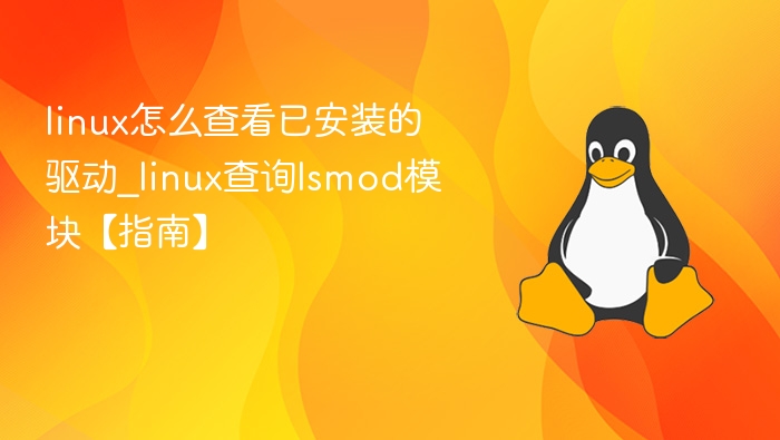 Linux查看已安装驱动方法
