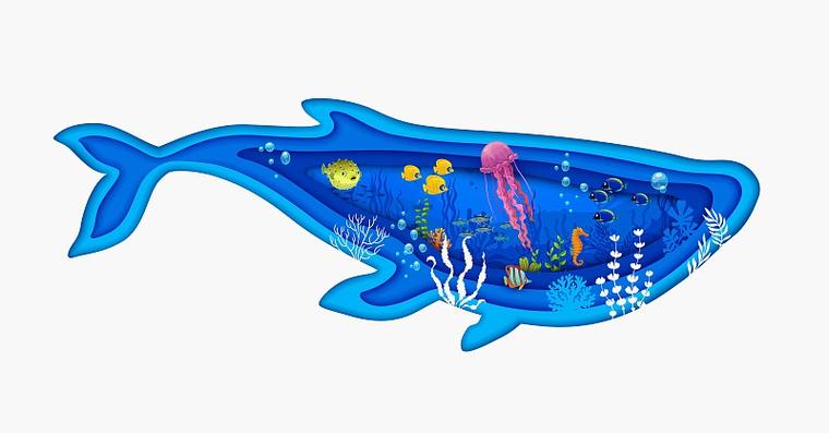 如何用海鲸AI做PPT_海鲸AI大纲转幻灯片教程
