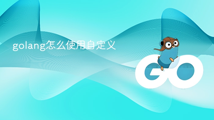 Golang自定义类型使用教程