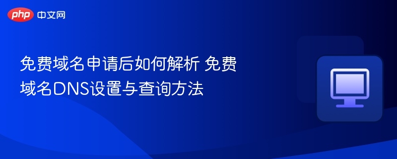 免费域名申请后如何解析 免费域名DNS设置与查询方法
