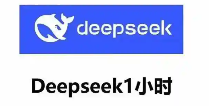 DeepSeek聊天入口官网及功能详解