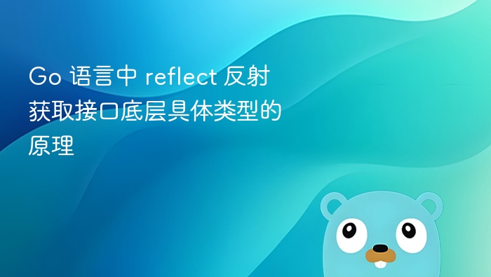 Go 反射获取接口类型原理详解