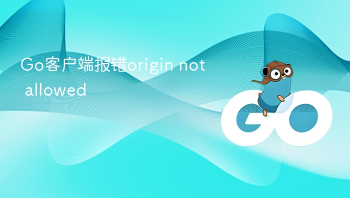Go客户端报错origin not allowed