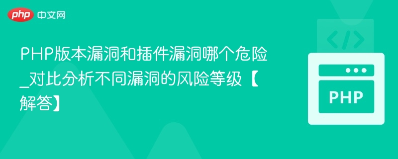 PHP与插件漏洞风险对比分析